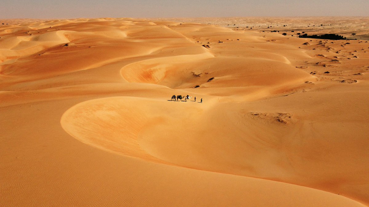 Giulio Aprin tweet media