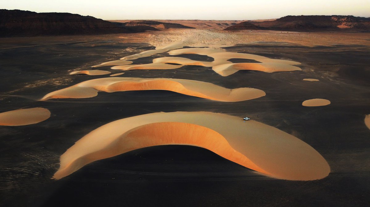 Giulio Aprin tweet media