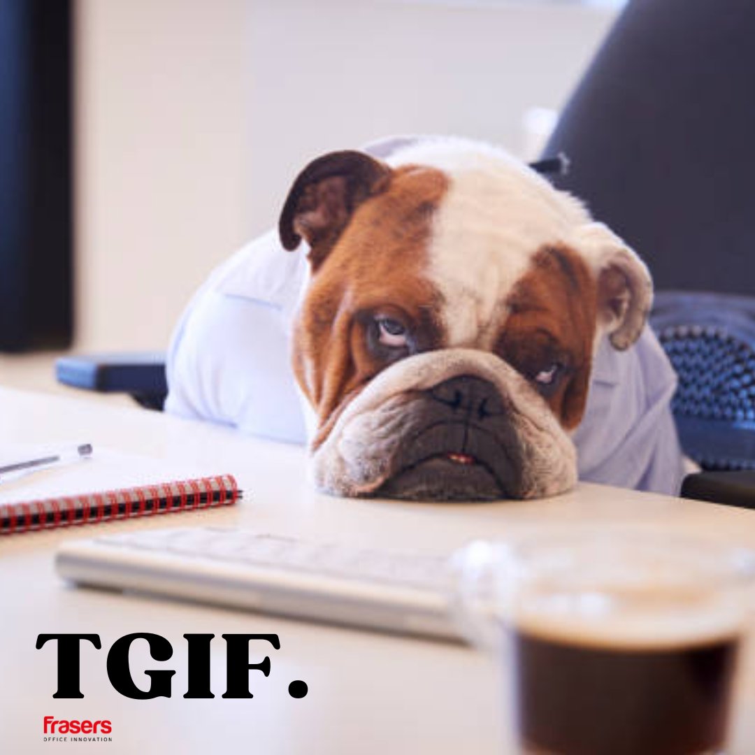 Frasersoffice's tweet photo. Happy #InternationalDogDay 🐶

Any dogs in anyone's office today? We'd love to see! 😁 https://t.co/sOycZGp66X