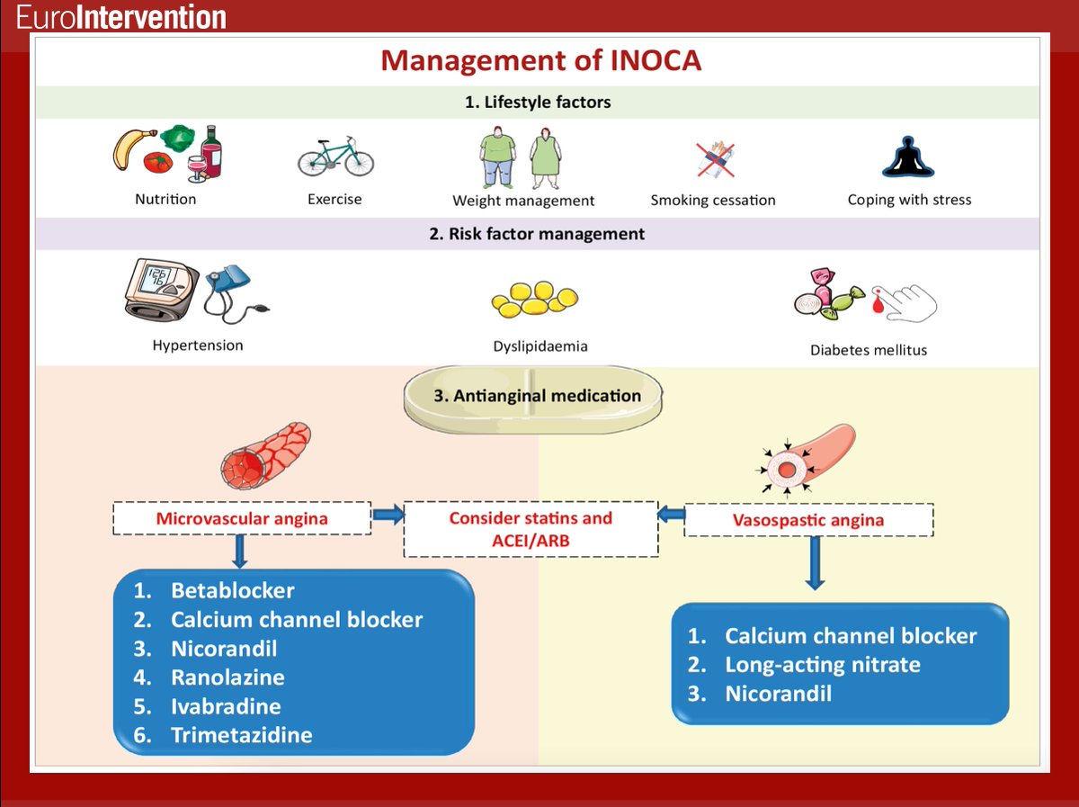 EuroInterventio's tweet photo. This consensus document provides the treating clinician/interventional cardiologist guidance regarding the recommended approach and the management of INOCA based on the existing evidence and the best available current practice.#EIJBestOf  https://t.co/2MbExI2g6W https://t.co/qcWz4LTWzM