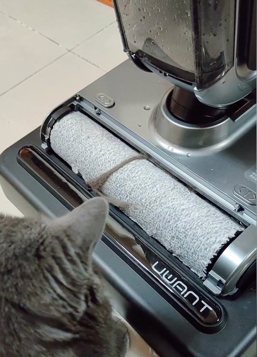 UWANT_global's tweet photo. Do all cats like to hang around the UWANTX100?🤣🥰 https://t.co/V1Eypp1lSU