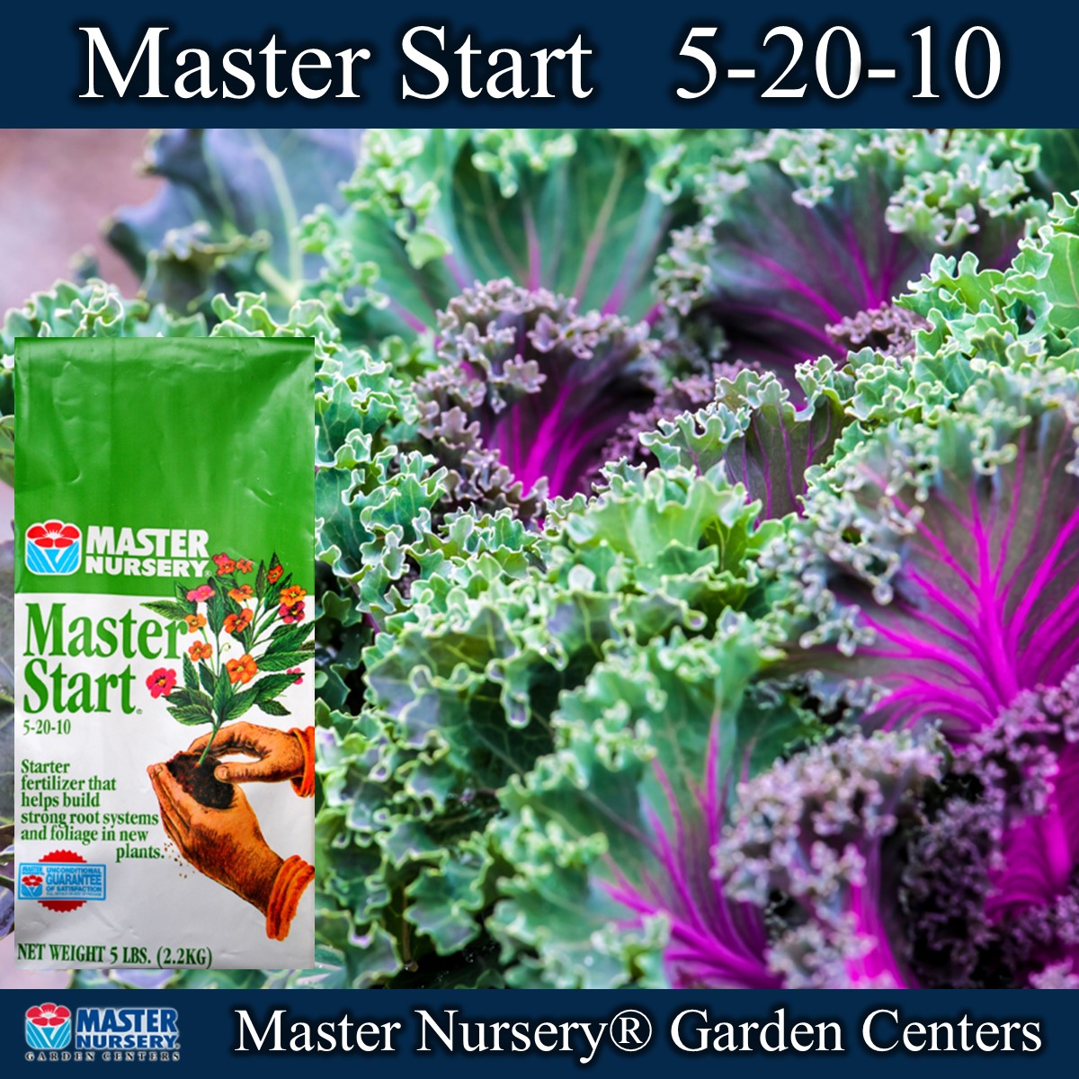 Master_Nursery's tweet photo. Master Start is a starter fertilizer formulated to supply adequate nitrogen to new plantings and greater amounts of phosphorous and potassium to aid in the development of a strong root and stem structure. #MasterStart #MasterNursery #Fertilizer #NPK https://t.co/ev3xxlHdIa https://t.co/OwmJpaaBNk
