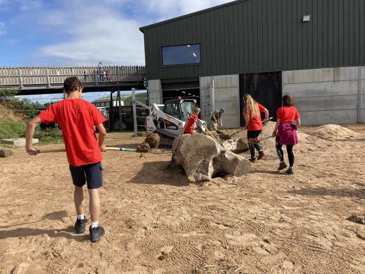 The students on the @BlackpoolZoo residential have been privileged with an exclusive behind scenes visit to Elephant Base Camp, poo picking was involved but also the opportunity to see the welfare checks happening, very exciting. @DofELondon