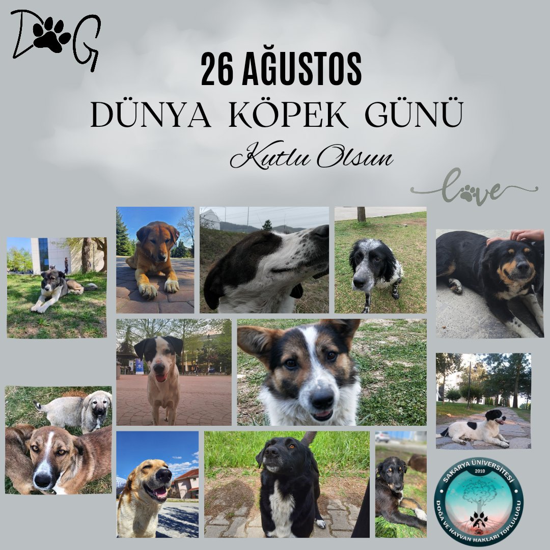 SAÜ Doğa ve Hayvan Hakları Topluluğu (@saudohay) on Twitter photo 