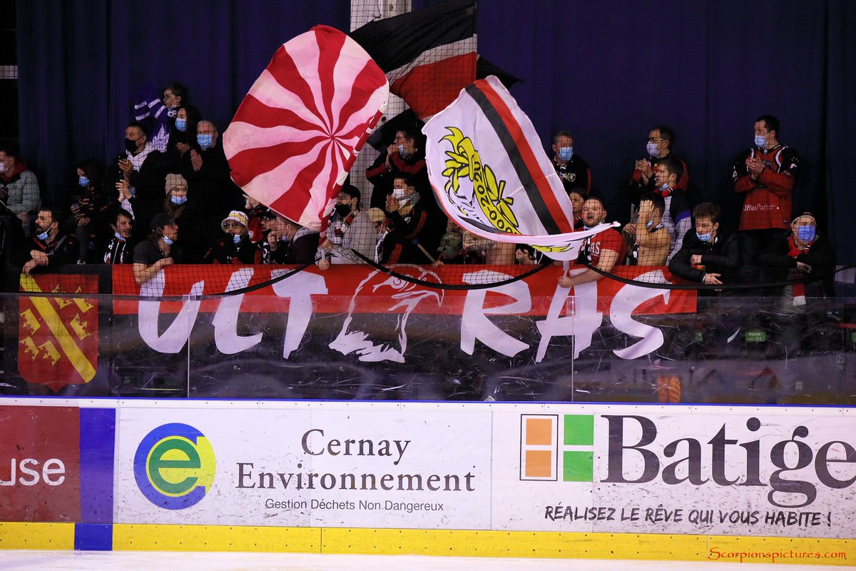 Synerglace Ligue Magnus tweet media