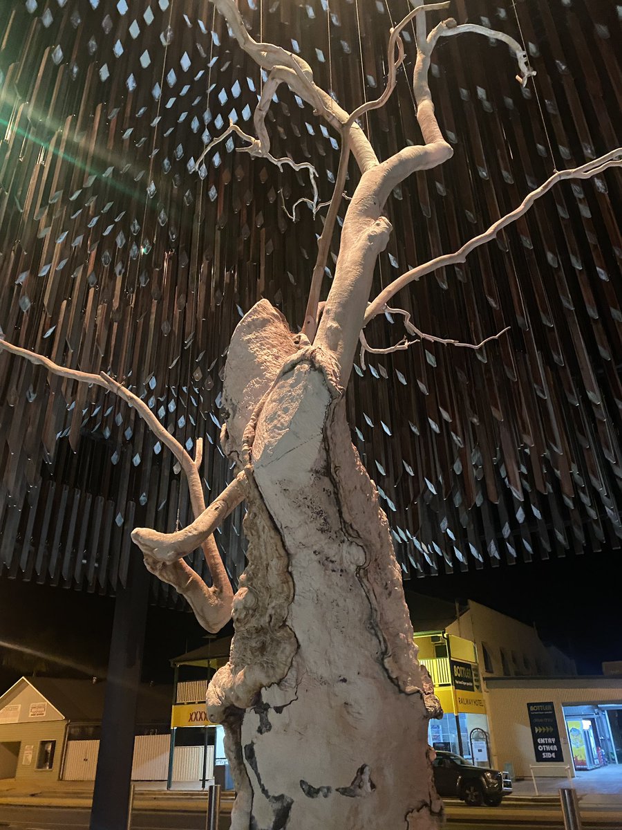 leae's tweet image. Day v Night. #barcaldine #treeofknowledge