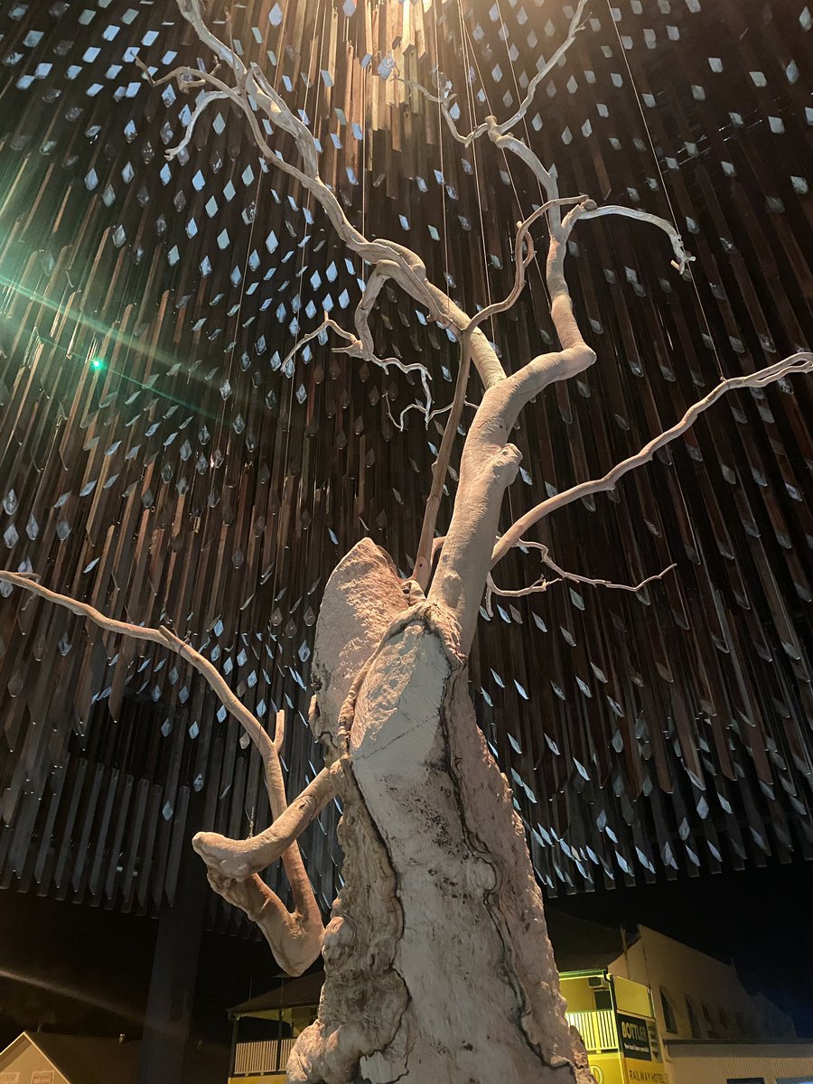 leae's tweet image. Day v Night. #barcaldine #treeofknowledge