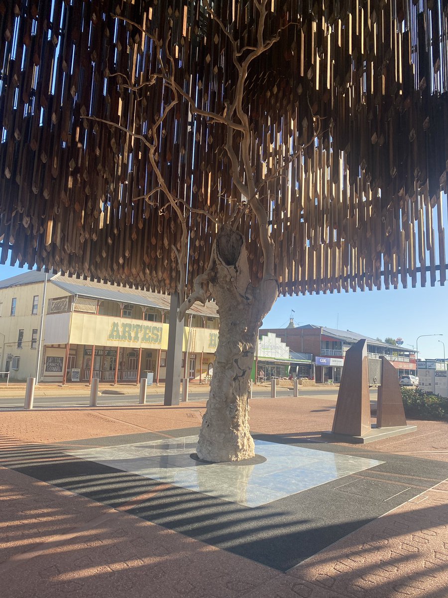 leae's tweet image. Day v Night. #barcaldine #treeofknowledge