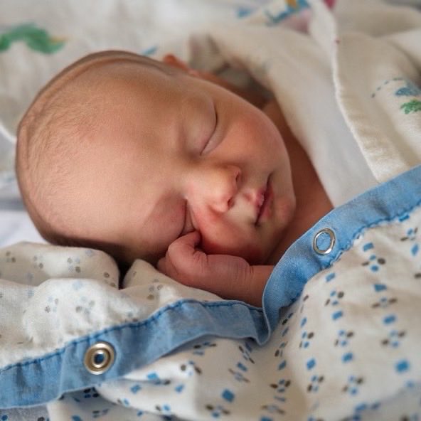 NICOLE NALEPA tweet media