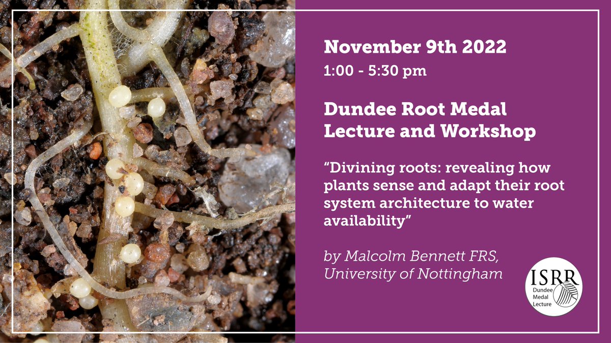 Interested in #plant #roots?

Register to attend the 2022 #Dundee Root Medal Lecture and Workshop. The lecture will be delivered by Malcolm Bennett FRS of <a href="/UniofNottingham/">Uni of Nottingham #WeAreUoN</a>  @PlantSciNottm .

Event info: bit.ly/3Kjhqn0