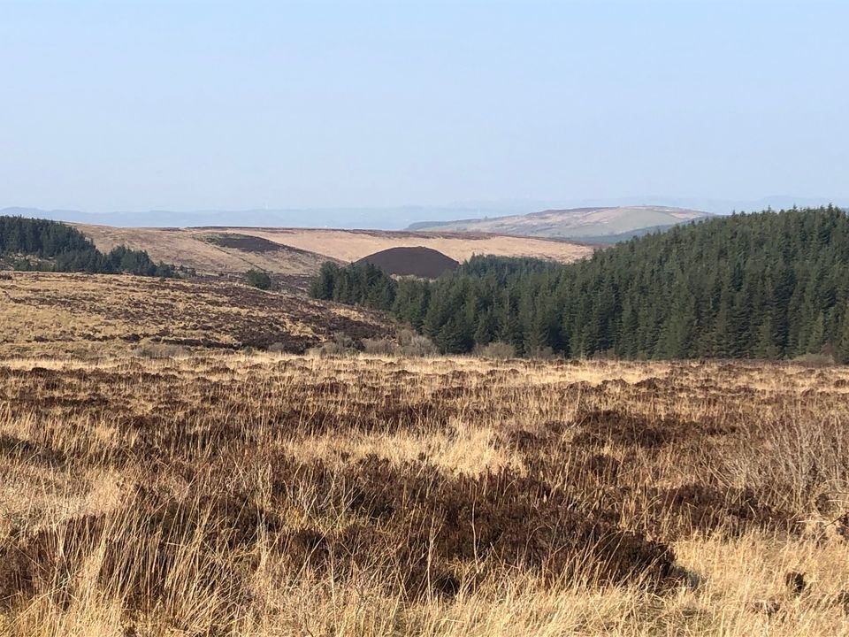 OfBeagh's tweet photo. As September nears, Tydavnet GWS source protection project continues on Sliabh Beagh. Stage 4 involves a community litter lift and guided walk. There will also be a community mapping event with Francis McCarron - all events to increase awareness of the importance of our bog. https://t.co/3twK4XdNSg