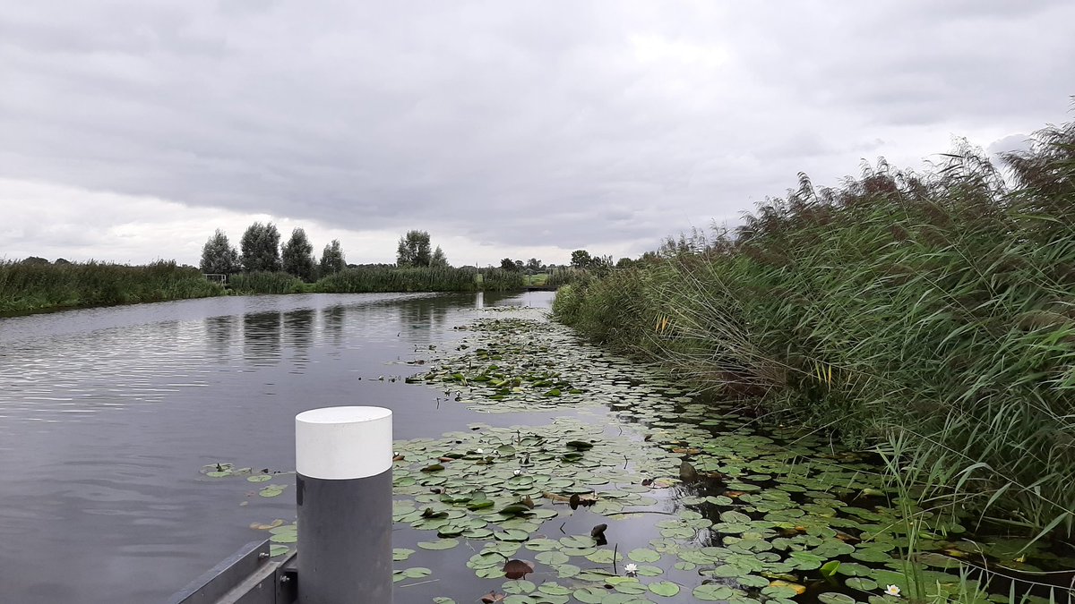 JeroenHaan1's tweet photo. Bij de #Grecht-West boven #Zegveld @gemeentewoerden staat het water nog hoog, toch is daar schade aan de dijk door #droogte. Droogtescheuren houden we bij @HDSR_waterschap in de gaten, reparatie met klei als het nodig is & dit stuk dijk hebben we beregend tegen uitdroging. https://t.co/cvOe49Qbap