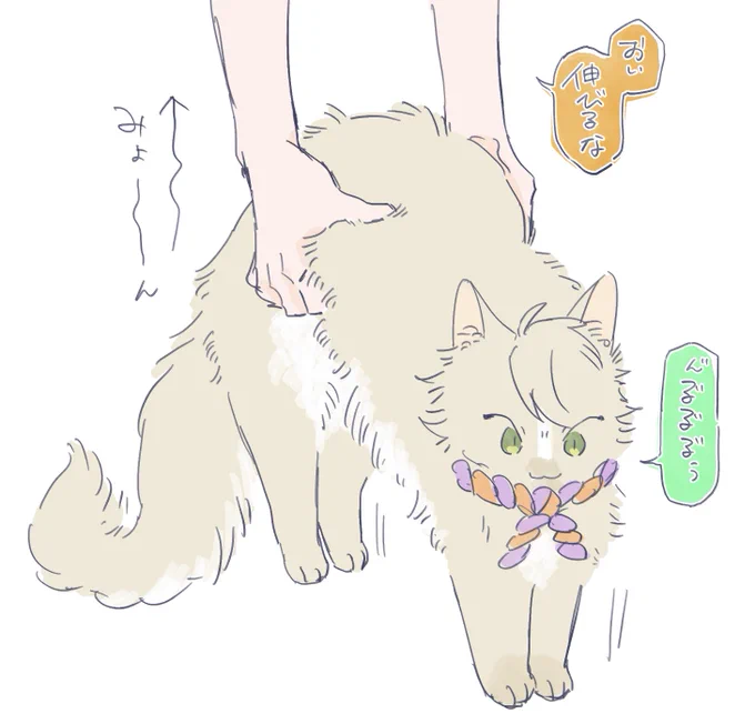 ※キイチが猫
軟体 
