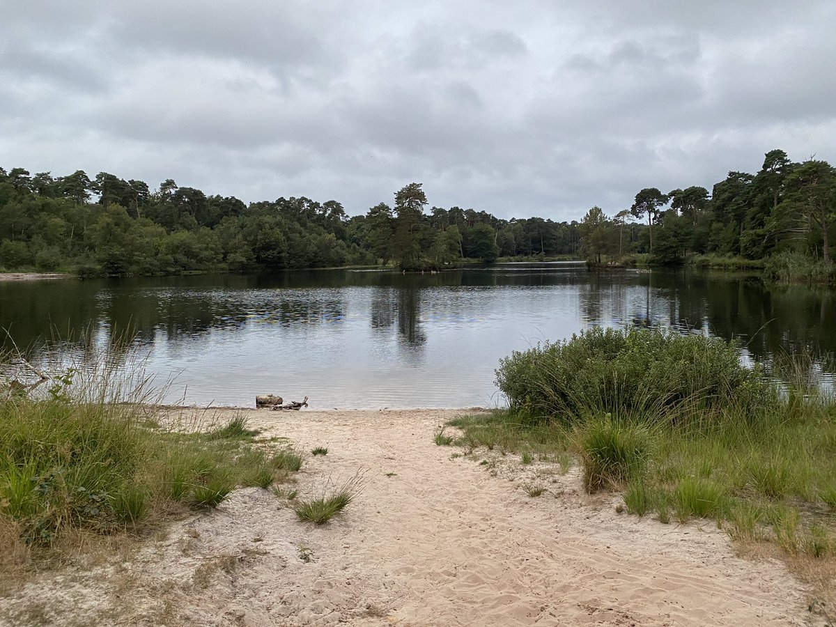 BoswachterFrans's tweet photo. Deze #ochtend weer een mooie #bosbadwandeling gegeven voor lieve collega’s. #bosbad #shinrinyoku @shinrinyoku_EU https://t.co/8oq4Ujy6TG