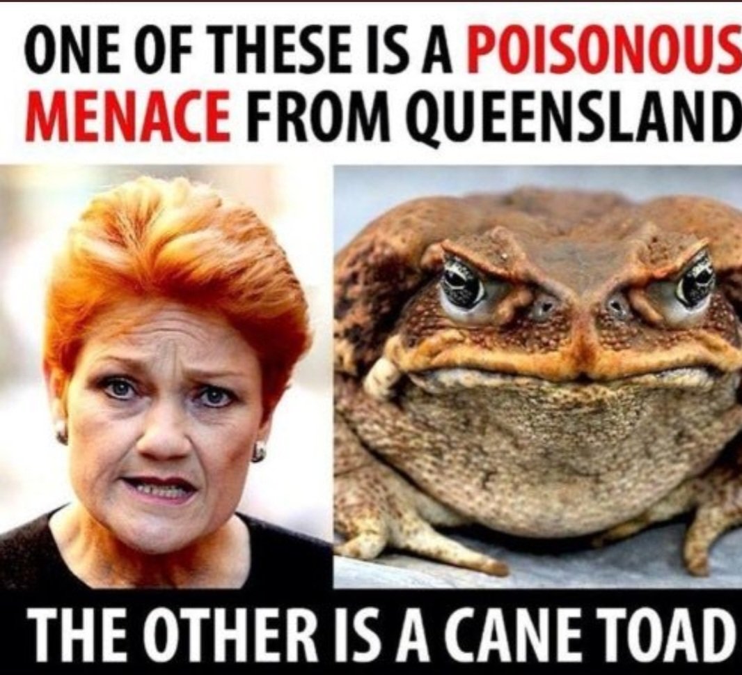 MissPolly62's tweet image. 🤣🤣🤣🤣🤣 So is this.