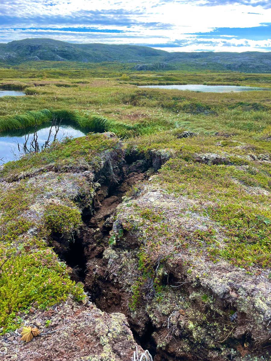 Last day of sampling at our costal site in Karlebotn in Norway. Tomorrow we are off to the next site up here in Finnmark. 🇳🇴

<a href="/Alyssa_Azaroff/">Alyssa Azaroff</a> <a href="/AcesSthlmUni/">Department of Environmental Science at Sthlm Uni</a> <a href="/PYRN_official/">Permafrost Young Researchers Network</a>  <a href="/GmosItn/">ITN GMOS-Train Project</a>