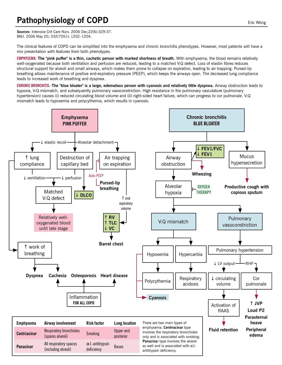 Medical_MD1's tweet image. Algorithms on

Obstructive Lung Diseases 🫁🤩

.