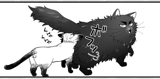 距離感掴めない🐈🐾
無配描いてマス 