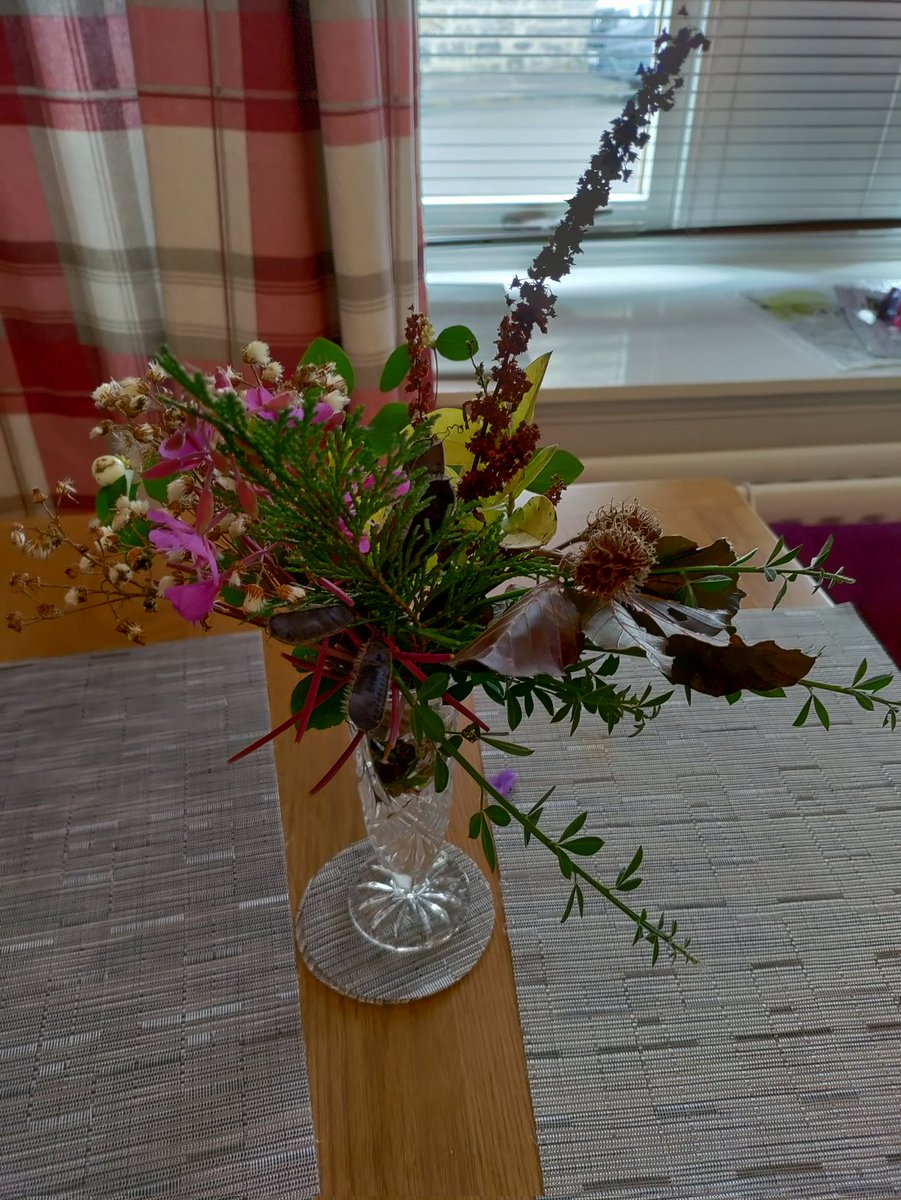 AbstractSplash's tweet image. Scottish seasonal wild sprey.