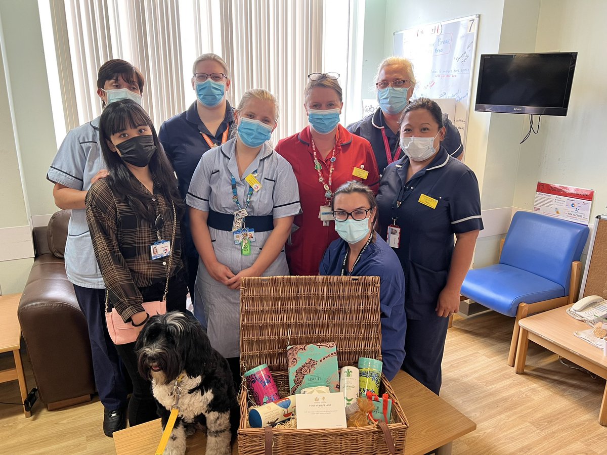 We are so proud to have won the @ENHHCharity prize draw to thank us for our fundraising efforts for the Sunshine ☀️ Appeal 🤩 great work everyone! Also featuring our beautiful #therapydog, Maple 🍁🐶💛 @KGood_z @bramall_jon @MikeChilvers1 @RachaelCorser @enherts @EllieHCharity