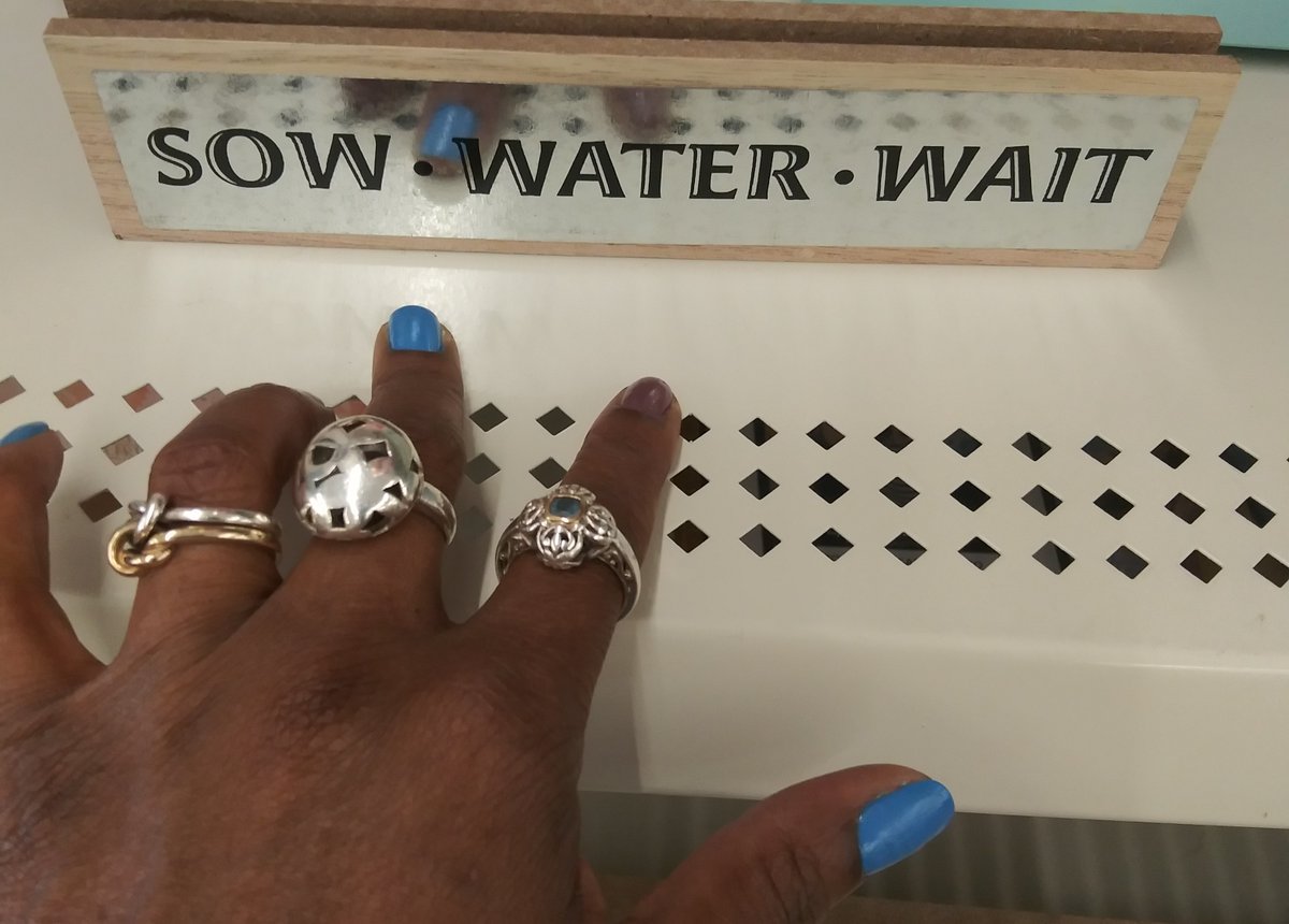 IAMJamena's tweet photo. #FridayFEELing ๐ ๐ ๐
๐พ๐ซ๐ ๐
#FridayFORMula๐ฑยฐ๐ฆยฐโยฐ
#SowWaterWait ๐ฑยฐ๐ฆยฐโยฐ https://t.co/SWMPJ0C3BW