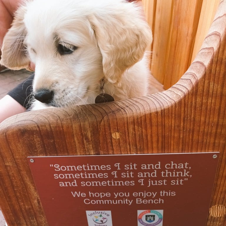 Simon Heyes tweet media