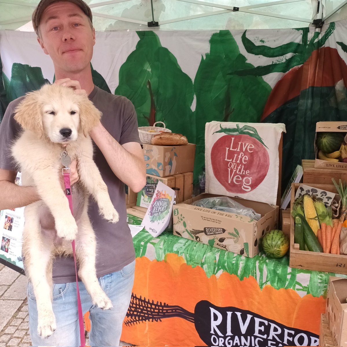 Simon Heyes tweet media