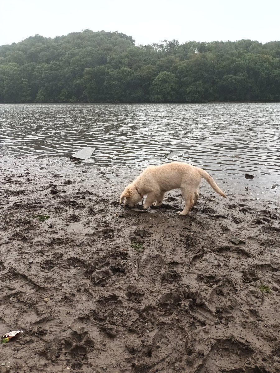 Simon Heyes tweet media