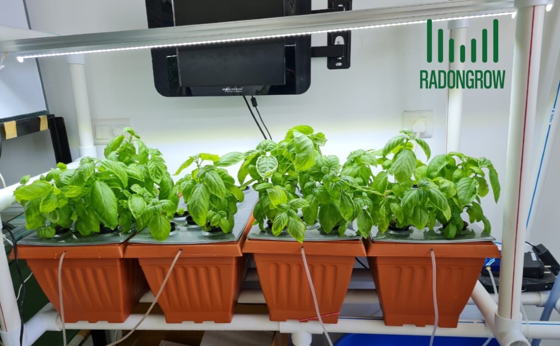 radongrow's tweet photo. Hydroponic System ( Deep Water Culture ) for 20 Plants-DWC 1010
https://t.co/ZxDoLuFaDS
Contact us on +91 72020 41100
#radongrow #Deepwaterculture @AVerticalFarm
#hydrofarming #hydroponicagriculture #hydroponicscompanies   #hydroponicfarming #hydroponicsystem #startup https://t.co/OY3ZGegrSD