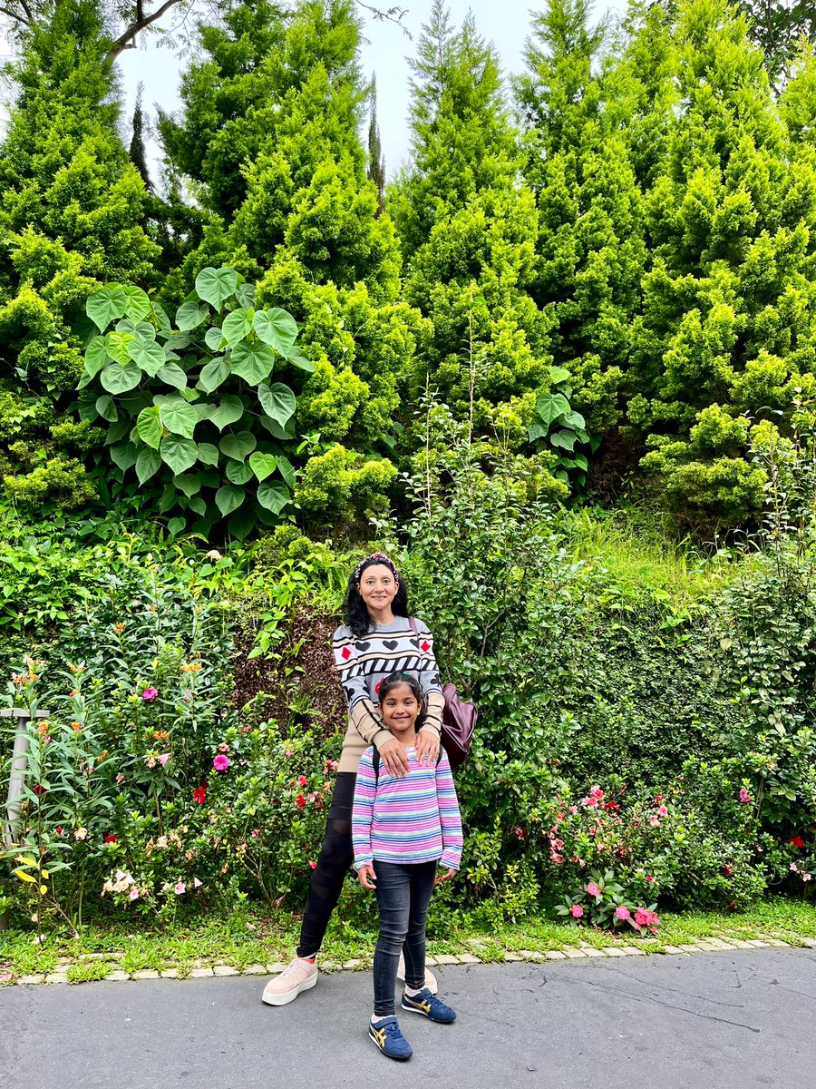 TheWickedHumor's tweet image. #Natural #Beauty
#Miss #Us 
#Goodbye #Sikkim #Gangtok  #WestBengal #Darjeeling
#India #World 
#Wicked #ChiefEditor #DiyaSaini
@diyaoutofbox