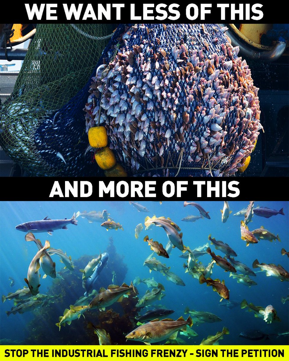 Greenpeace UK tweet media