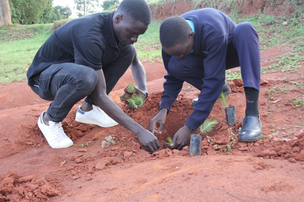 gerald1baguma's tweet photo. Never think that you are too young or too old to help Regenerate the Earth...@greenfuturesug @earthvolunteers @jonahkirabo @JoyHerbel @256Solomon 
#PamperATree #ClimateActionNow #EnvironmentalJustice https://t.co/Zi5Ow9eGHv