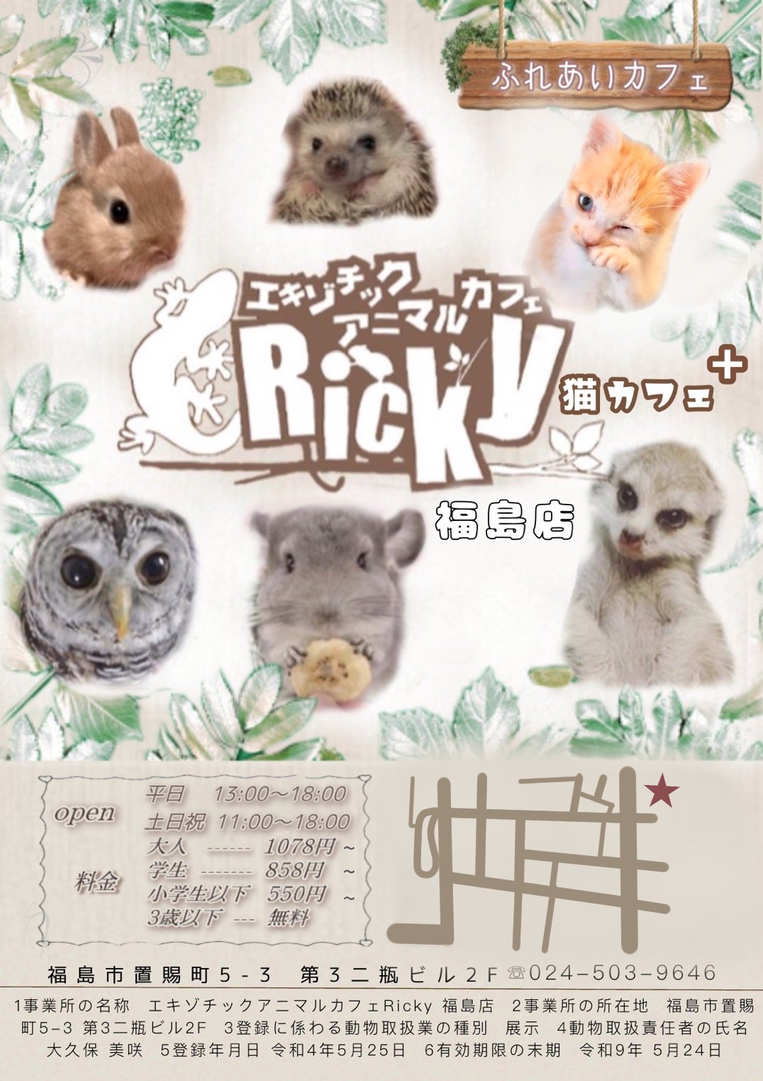 エキゾチックアニマルカフェricky 新潟店 Rickyniigata8 Twitter