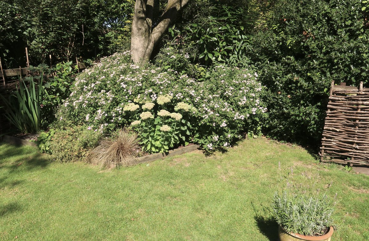 Little Cottage tweet media