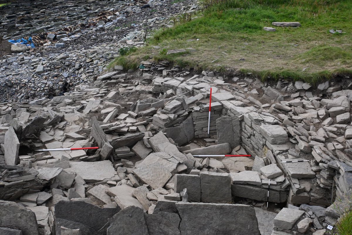 Swandro Iron Age Roundhouse. All tucked up to meet the challenges of winter storms. 1500 sandbags plus a few tons of stone. #hessupported #scotarchstrat #ScotlandDigs2022
@SwandroOrkney @OAS_Orkney @SIRFA6 @BradArcForensic @orkneycom @socantscot @DigItScotland @wessexarch