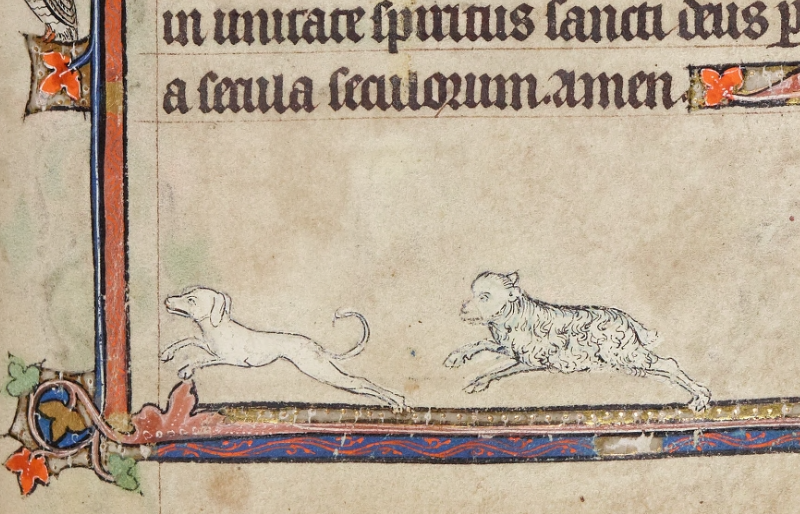 TrinCollLibCam's tweet photo. There are lots of dogs chasing other animals in this manuscript, but the tables have turned for this one, who is being pursued by what the library staff think is probably a sheep: https://t.co/BQF9EsSiTy #WrenDigitalLibrary https://t.co/7n6V5K7w1l
