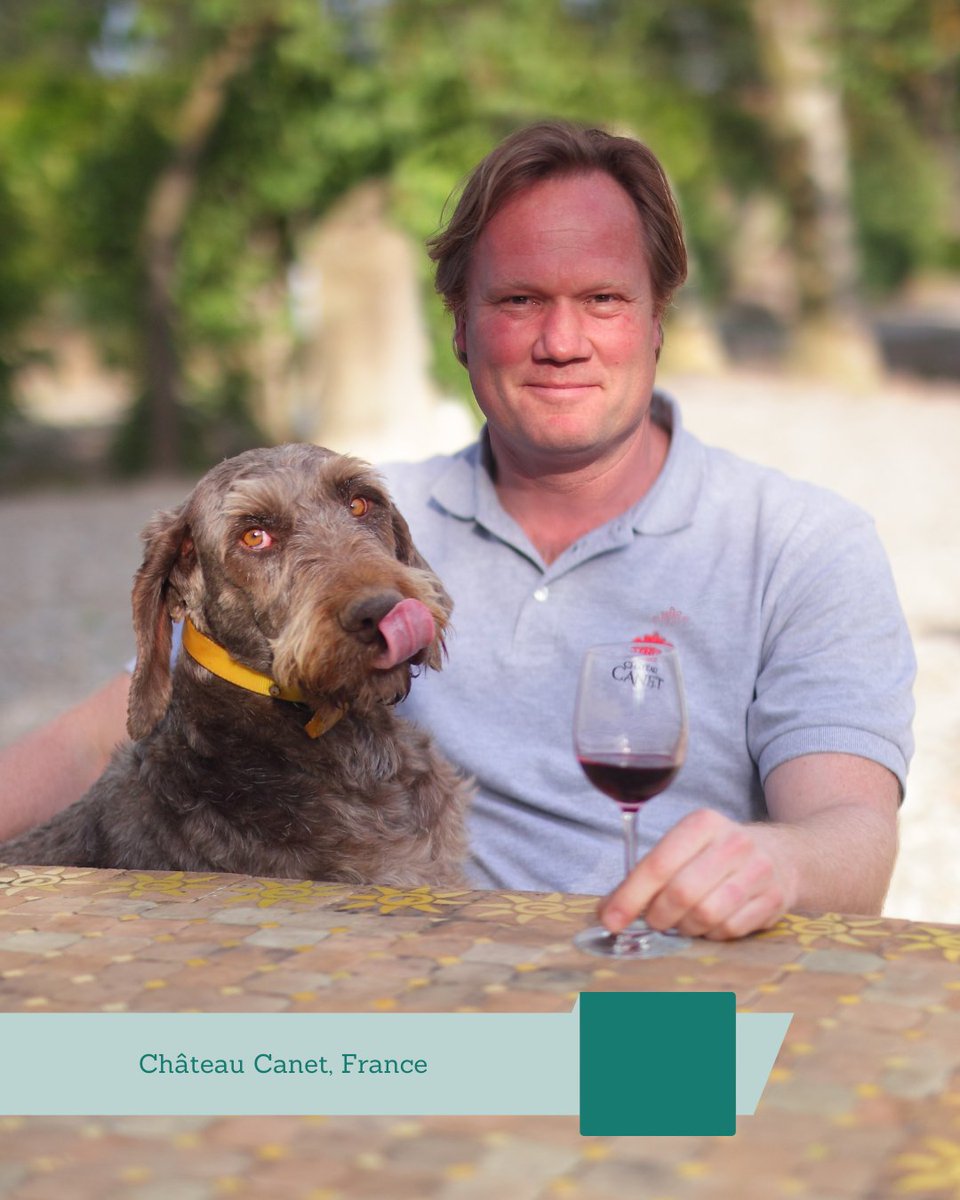 They're winemakers' best friends, and it's not often you'll find a vineyard without a trusted dog watching over the vines.​ #InternationalDogDay #MansBestFriend #DogsofVineyards