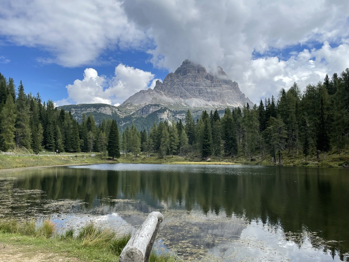 AriannaDiaco's tweet photo. Le Regine.
#Dolomiti #3Cime https://t.co/RDl6wLhaT5