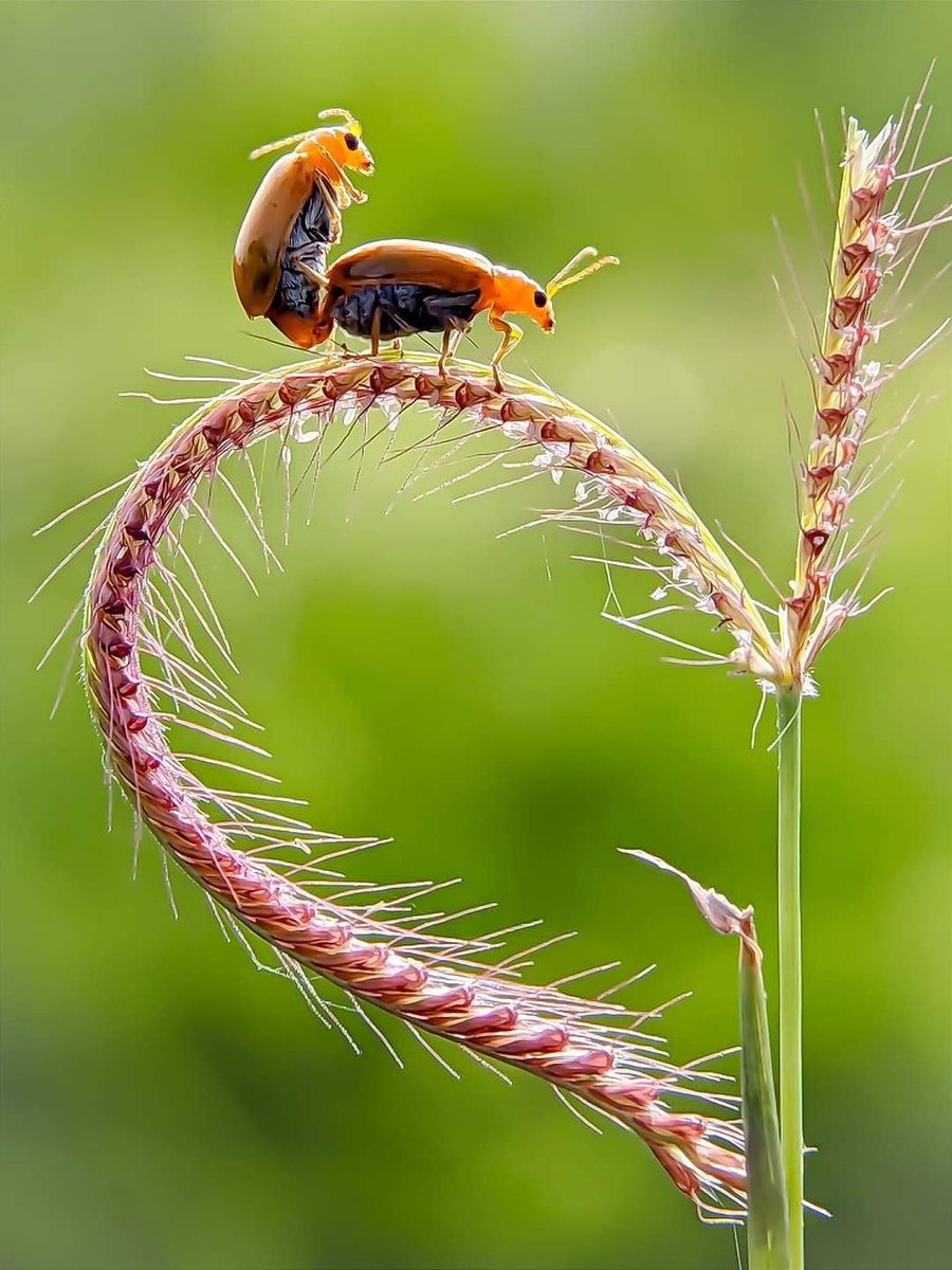 Pasión y Love..
Feliz viernes criatures!! 😘