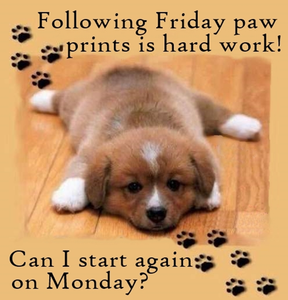 HillHamilton's tweet photo. #FF #peopleyoushouldfollow #influencer #FollowFriday @Sassy_Garden @SassySarahere @SatiaRenee @sbaileyauthor @ScarletRivers88 @ScarletWyvern @SchaferWillow @Scholar_Atheist @Schlogasticbook @schristodoulou2 @ScienceGeekMel is @sciencetree_st @SciWriterPark @scottrsraphael https://t.co/djkVJxFjYL