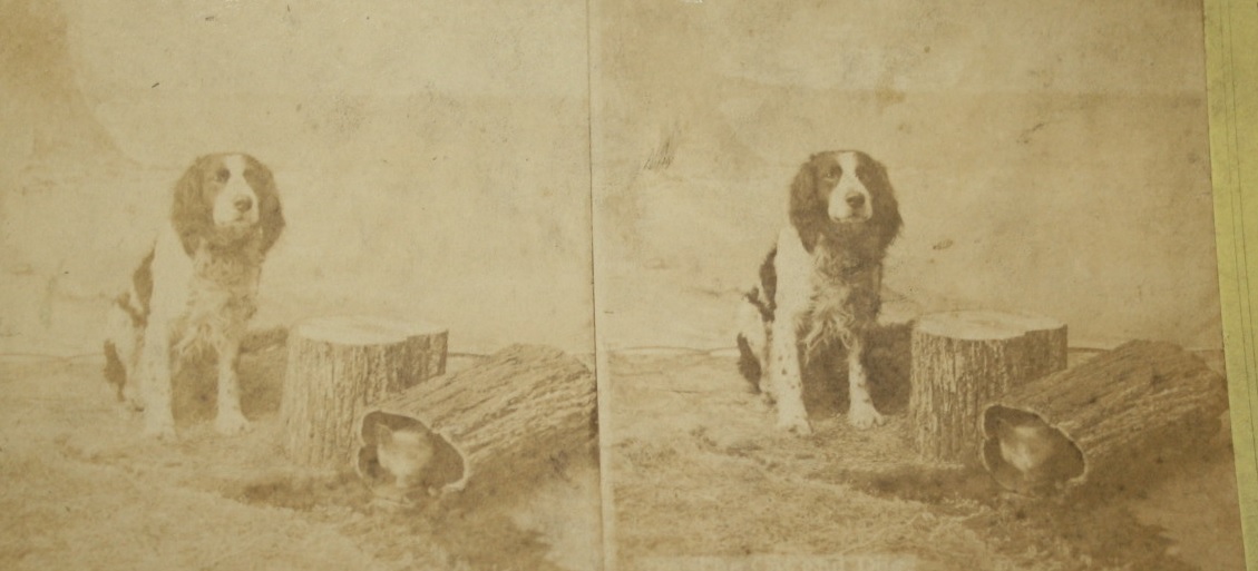 Barnsley Museums on Twitter "We're disappointed that we haven't found