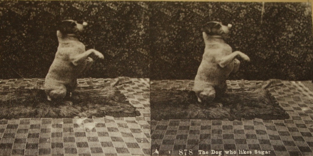 Barnsley Museums on Twitter "We're disappointed that we haven't found