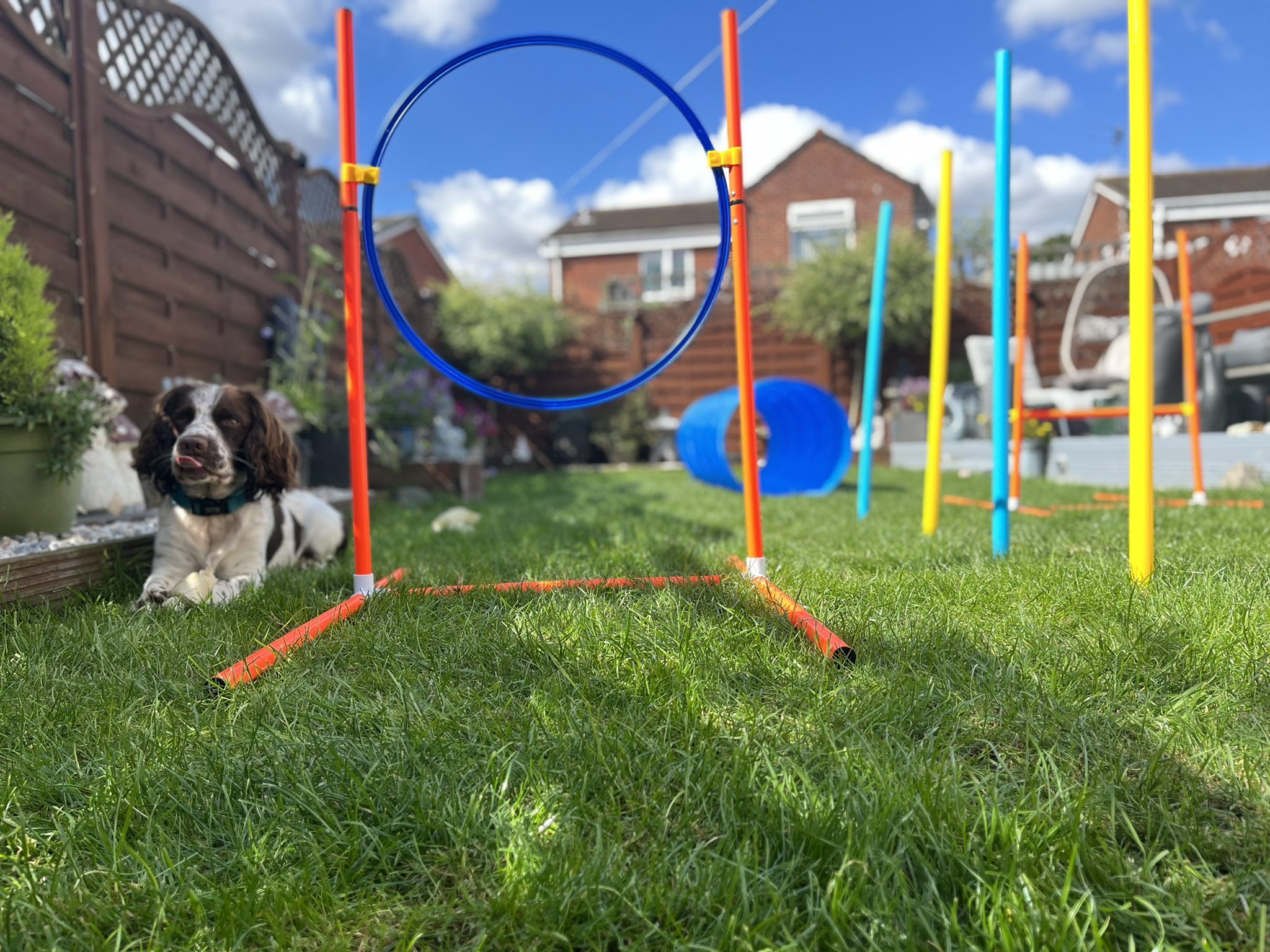 Northcott School and Sixth Form College on Twitter "New day and trying new things. Ozzy is