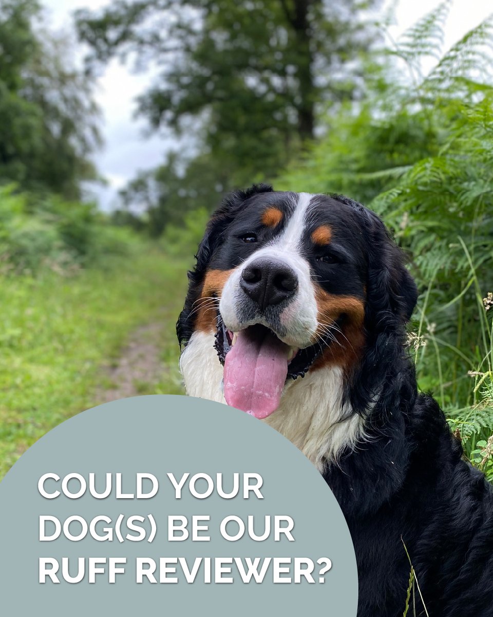 COMPETITION

Could your dog be our Ruff Reviewer?
 
To celebrate #InternationalDogDay we’re on the lookout for a canine critic to visit us for a 2-night stay and review one of our cottages.  If you think you’ve got the perfect pooch for the job, head to rowleyfarmholidays.co.uk/ruff-reviewer?….