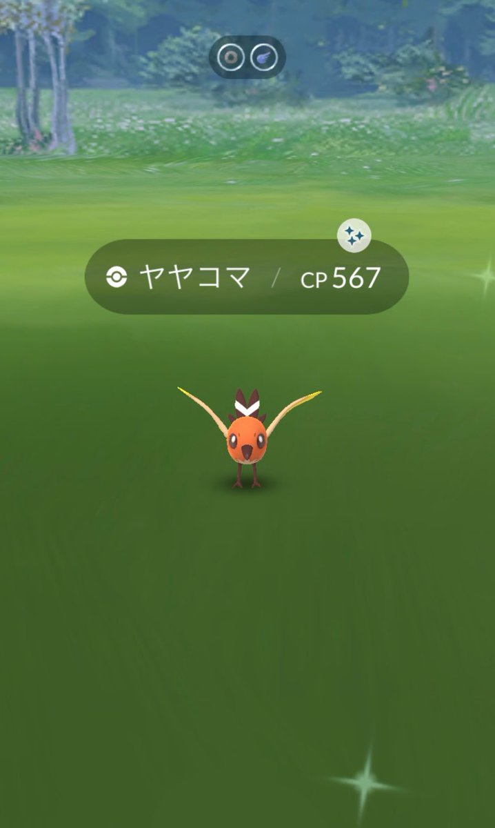 ポケモンgo ヤヤコマの色違い 入手方法と実装状況 攻略大百科