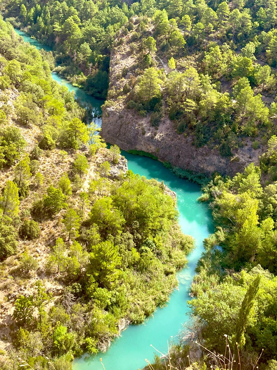 jlatienzaruiz's tweet photo. Se pierde el Júcar… @pSerraniaCuenca @cmorenoarcos @dvdromar @raguerralde #Ventano #SerraniaCuenca ⛰🌲🪨 https://t.co/RHrGyuKgo0