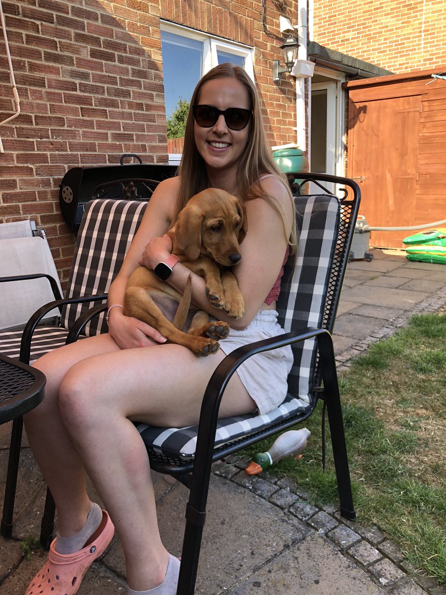 jessappleton4's tweet photo. Happy international dog day! 🐶🐾💙 https://t.co/km64yolsRP
