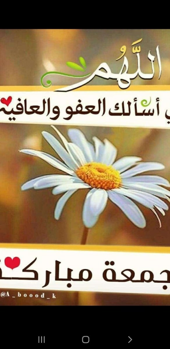 njla_amyn's tweet photo. #جمعه_مباركه https://t.co/Xcx9BtLqrx