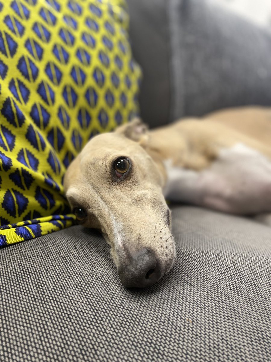 FireCask tweet media