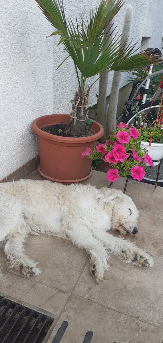 My Jaka-Jackson🥰❤